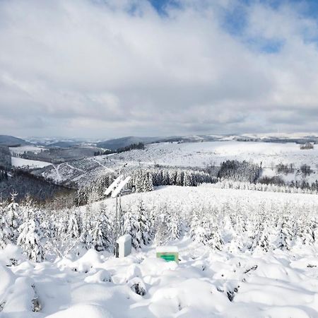 Am Finkenbusch Aan De Skipiste Віллінген Екстер'єр фото